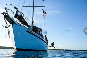 AllStar-Blackbeards-01